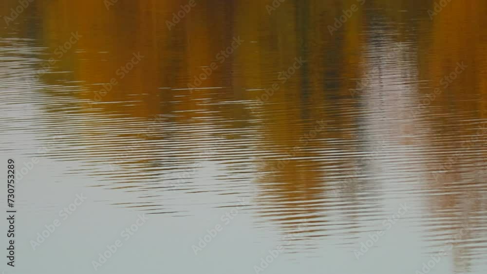glare and reflections on the water. the sky is reflected in the water. Background of waves, reflections, refractions and abstract diffractions, in the blue, clean and crystalline water. trees are refl glare and reflections on the water. the sky is reflected in the water. Background of waves, reflections, refractions and abstract diffractions, in the blue, clean and crystalline water. trees are refl