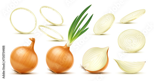 Fototapeta Isolated realistic yellow raw onion, slice and ring, whole and half vegetable 3d vector set