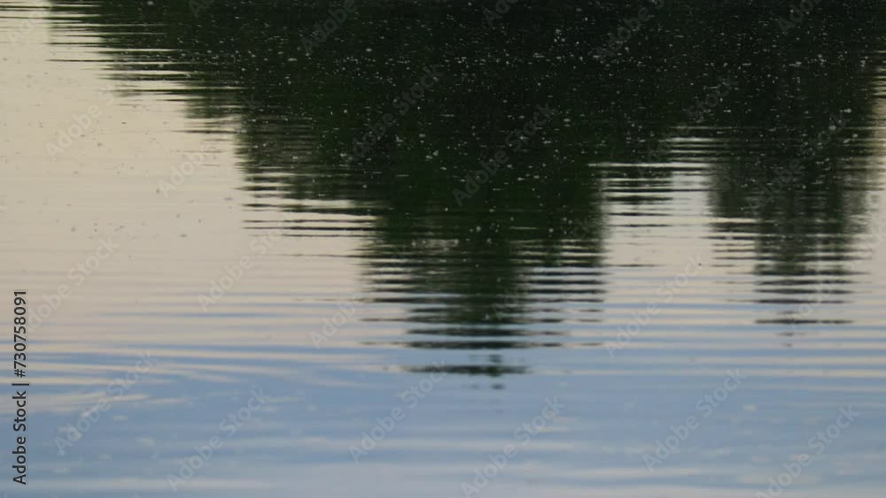 glare and reflections on the water. the sky is reflected in the water. Background of waves, reflections, refractions and abstract diffractions, in the blue, clean and crystalline water. trees are refl glare and reflections on the water. the sky is reflected in the water. Background of waves, reflections, refractions and abstract diffractions, in the blue, clean and crystalline water. trees are refl