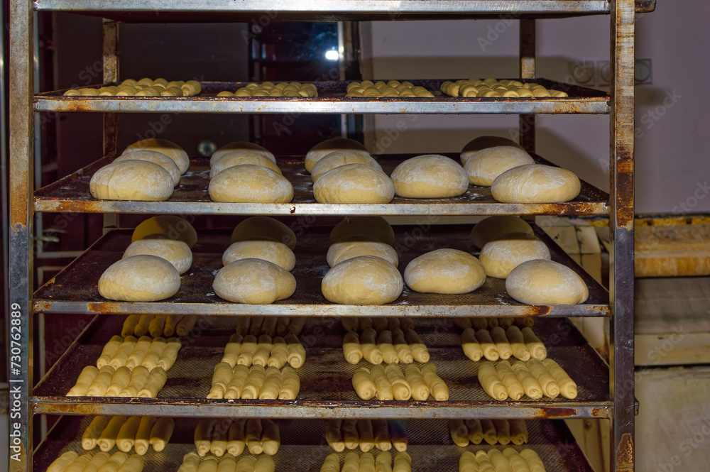 Fresh bread dough resting before baking.