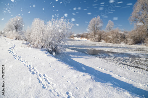 Fototapeta Naklejka Na Ścianę i Meble -  snowfall over the winter river