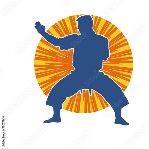 Silhouette of a man in oriental martial art pose. Silhouette of a male in martial art move.
