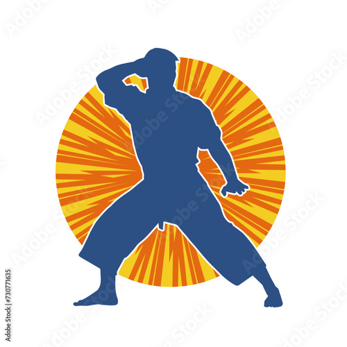 Silhouette of a man in oriental martial art pose. Silhouette of a male in martial art move.
