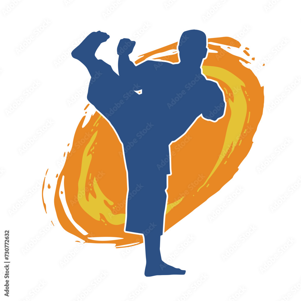 Silhouette of a male doing martial art kick pose. Silhouette of a martial art male doing kicking pose.
