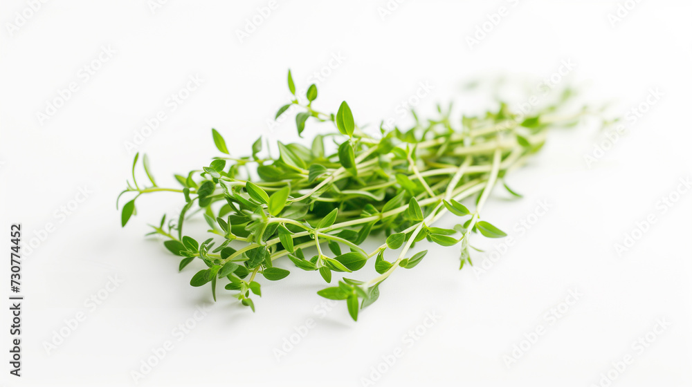 Food background with assortment of vegetables, herbs, organic and sustainable food. Sustainable development concept Food background with assortment of vegetables, herbs, organic and sustainable food. Sustainable development concept