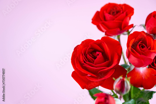 Red roses in red vase isolated on pink background