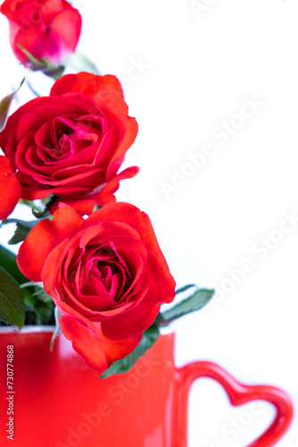 Red roses in red vase with heart shape of handle   isolated on white background