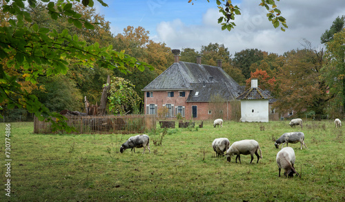 Estate with stone dovecote  at Roden Drente Mensinge Estate Netherlands. Landgoed Mensinge. Autumn. Fall Colors.Sheep grazing. photo