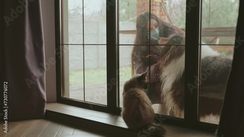young happy woman playing having fun with her dog purebred collie black fluffy fur, girl stroking pet's muzle, playing outside in yard, window view of house. Siamese cat looks jealous of owner's love photo