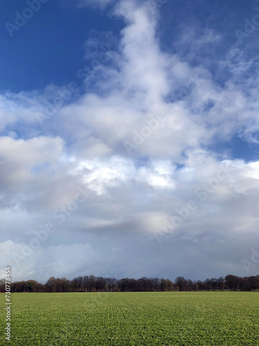 Fields of the Uffelter Es. Uffelte Drenthe Netherlands. Winter. Clouds. Green meadow.