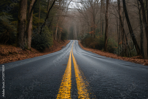 Forest road in autumn