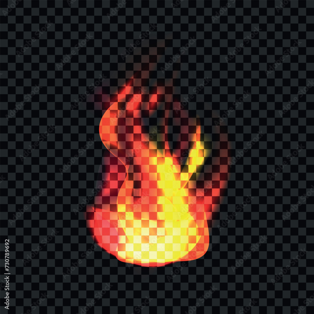 Vector realistic fire on black background