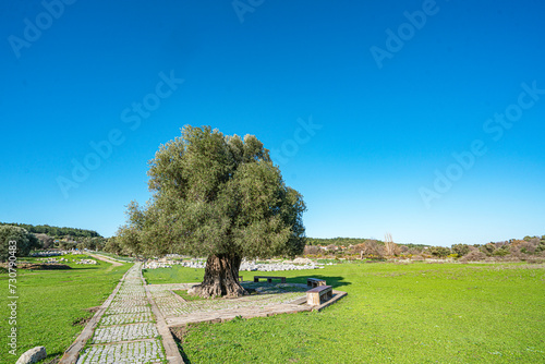 Amazing views from Teos (Teo), an ancient Greek city on the coast of Ionia, on a peninsula between Chytrium and Myonnesus, one of the twelve cities that formed the Ionian League in İzmir photo