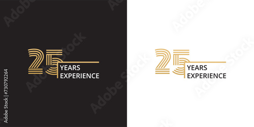 25 years experience banner
