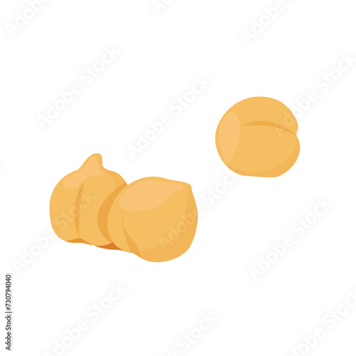 Cooked chickpeas isolated on white background. Chick pea or garbanzo bean, or Egyptian pea. Vector illustration