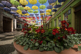 
CITYSCAPE - A flowers on the bouleward in city center under colorful umbrellas 