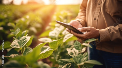 Close up hand of a male farmer holding tablet on soybean farm agricultural field, Technology agriculture farming concept.