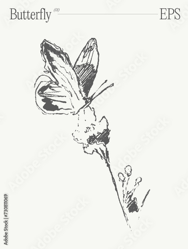 Hand drawn vector illustration of a butterfly on flower on blank backdrop. Sketch.