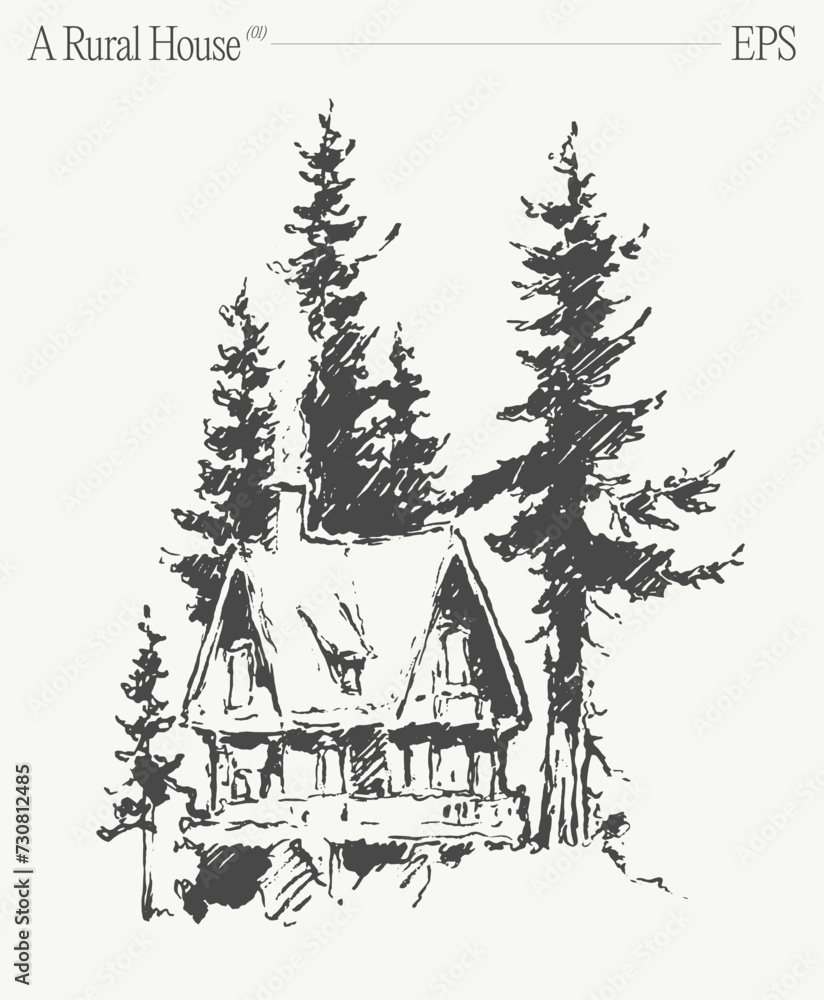 A house in a forest with evergreen trees on a sloped landscape. Hand drawn vector illustration.