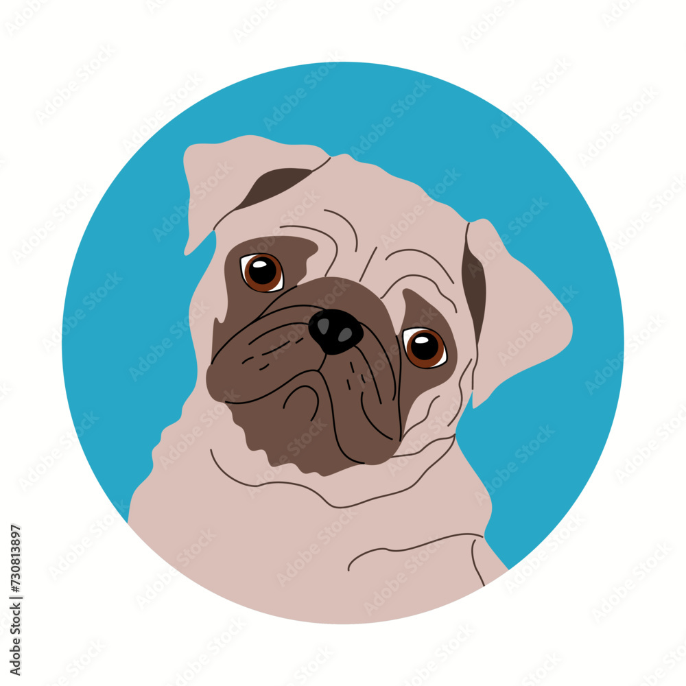 Pug Dog face. Portrait of cute pet. Hand drawn vector illustration isolated on white background, flat cartoon style.