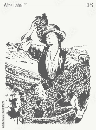Woman picking grapes in vineyard. Label design element. Hand drawn vector illustration, sketch.