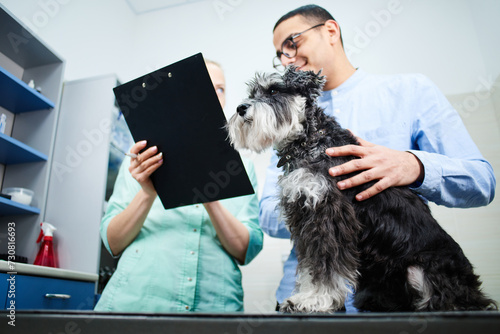 Well behaved domestic terrier dog with the owner at the veterinarian visit