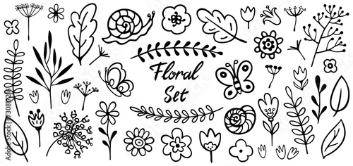 Set of Vector Plants and Butterflies Drawn by Hand