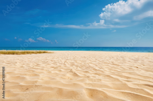 free space on sand and summer beach landscape
