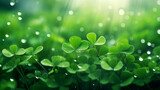 Rich green clover lawn, sunny banner, symbol of good luck. Natural floral texture with a pattern of green leaves on a flower bed. The background image is green. St. Patrick's Day, copy space