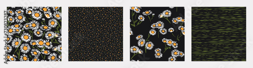Collage of set seamless patterns simple art chamomiles flowers on a black background. Vector hand drawn sketch stylized abstract branch, flowers printing with random spots, polka dots, lines