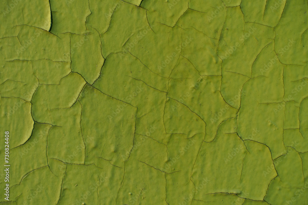 Obraz premium Backdrop - yellowish green peeling and cracking paint on the wall