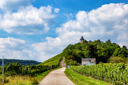 Hiking path to the Prinzenkopf Observation Tower, Rhineland-Palatinate, Germany, Europe. photo