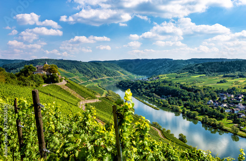 Photos Mosel River landscape, Rhineland-Palatinate, Germany, Europe.