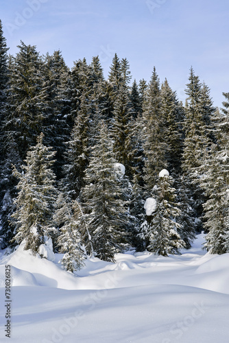 Image from the Totenaasen Hills in winter, from a walk from Oksbakken to Langsetra and Anfinnsetra summer farms, and back again through Smordalen and Hemningsdalen valleys.