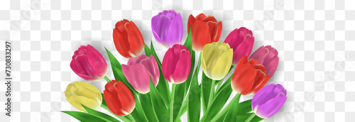 8 March international Women's Day with realistic tulips. Spring tulips flower isolated on png background. Vector illustration for greeting, postcards, posters, coupons, promotional material