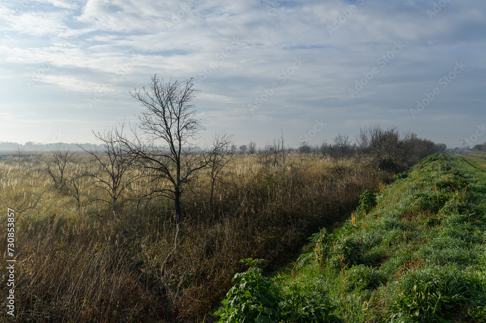 Fields and meadows near Arles in winter