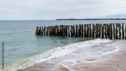 Tree trunks on the beach of Saint-Malo at high tide
