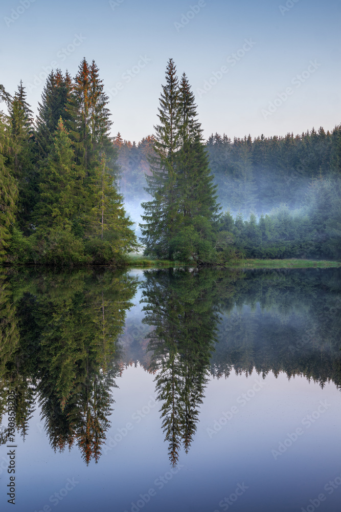 Spruce Trees Reflecting in Small Hidden Lake in the forest with morning fog Spruce Trees Reflecting in Small Hidden Lake in the forest with morning fog