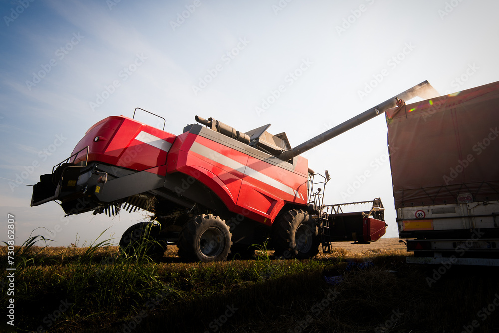 Grain auger of combine pouring wheat into tractor trailer Grain auger of combine pouring wheat into tractor trailer