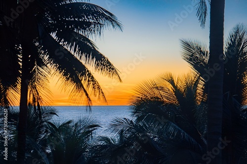 Silhouette of palm trees by the Atlantic Ocean  in Ghana  Africa