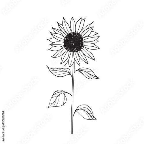 Elegant line drawing of a summer sunflower. Illustration for invites and cards