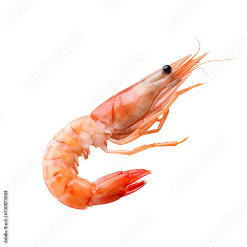shrimp isolated on white background. With clipping path. 