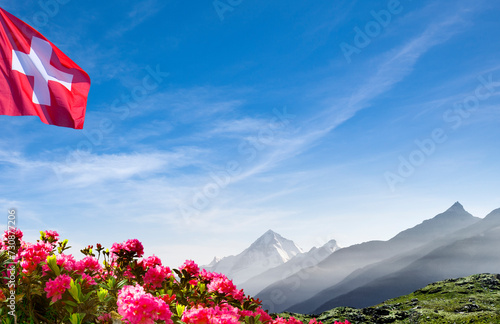 Schweizer Berge mit Schweizer Fahne und Alpenrosen