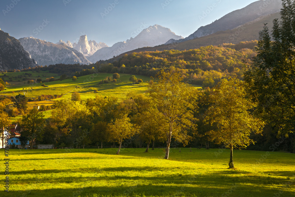 An autumn afternoon