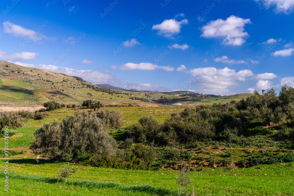 Landscape of northern Tunisia - Sejnene region - Tunisia
Landscape of northern Tunisia - Sejnene region - Tunisia