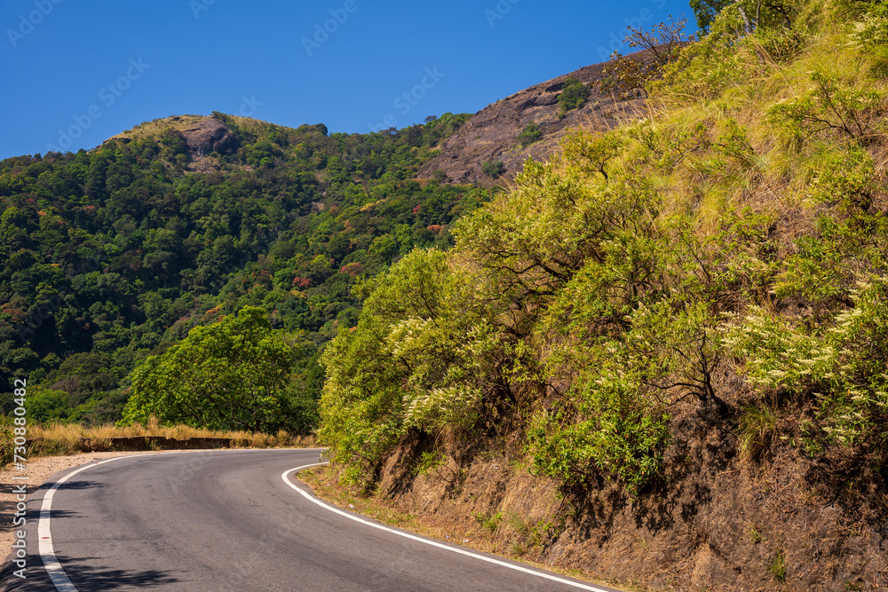 Charmady Ghat is a mountain pass in the Western Ghats range in the kadur to mangalore Road of Karnataka, India