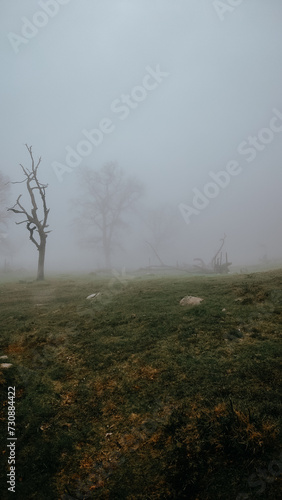 Mountain ranges on a sunny day at dolomites, includes bicycle, hammock, . . .