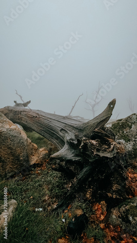 Mountain ranges on a sunny day at dolomites, includes bicycle, hammock, . . .