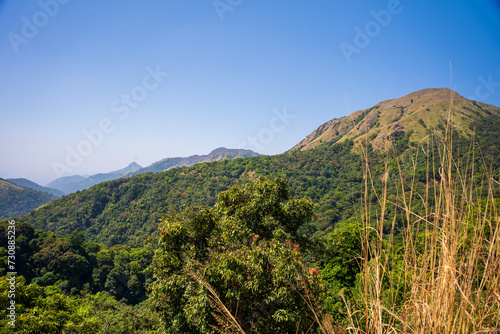 Charmady Ghat is a mountain pass in the Western Ghats range in the kadur to mangalore Road of Karnataka, India photo