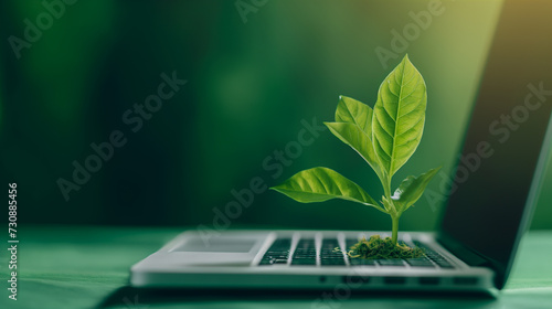 Green information technology, green laptop in nature with trees Environmentally sustainable IT copy space